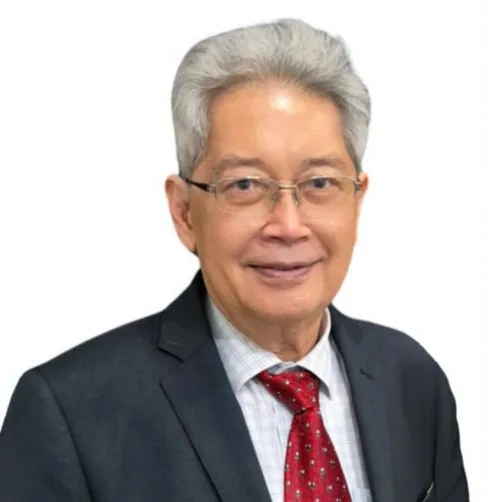 Prof Soon Chye Ng
