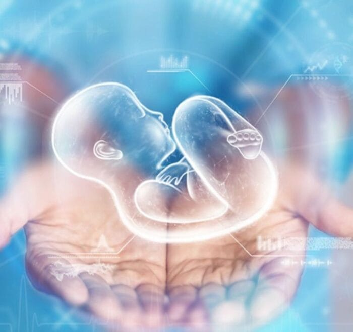 Sincere Healthcare Group Portfolio 1A, Fertility