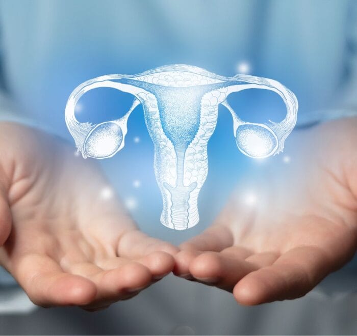 Sincere Healthcare Group Portfolio 2A, Gynaecological