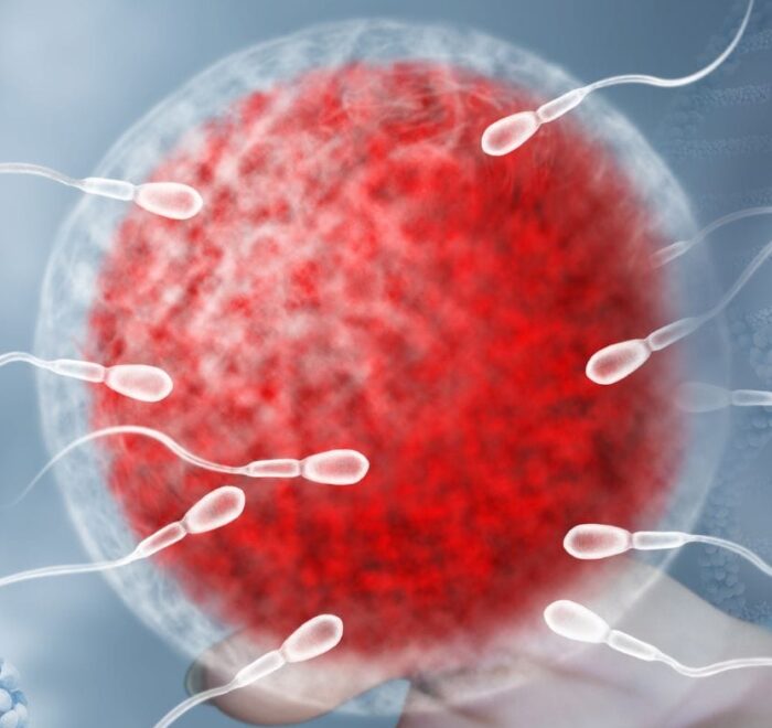 Sincere Healthcare Group Portfolio 3A, Semen Analysis