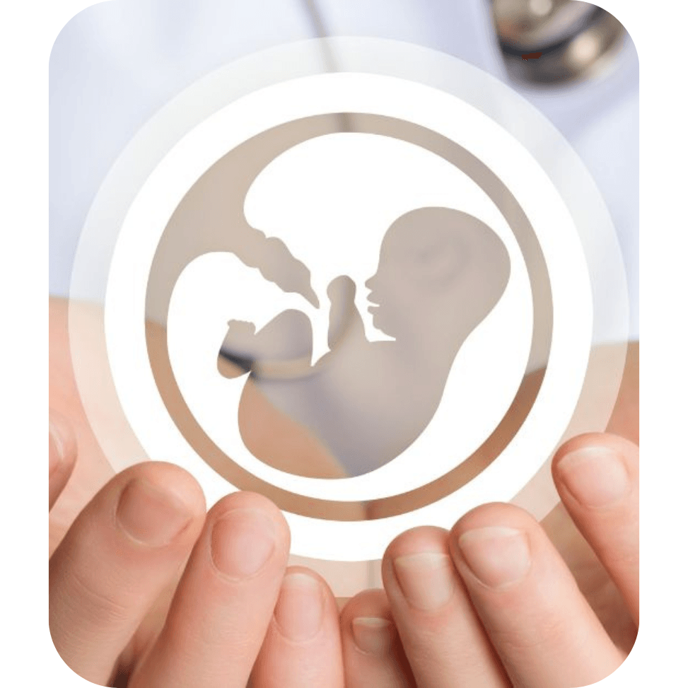 Fertility Screening, Fertility Test Singapore Fertility Screening, Fertility Test Singapore