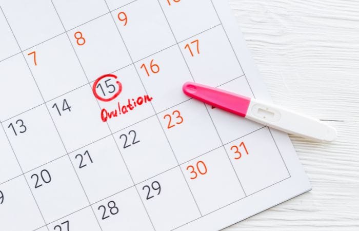 Fertility Screening – Pre-conception Screening Fertility Screening - Pre-conception Screening