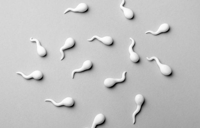 Male Reprodutive Health - Morphology