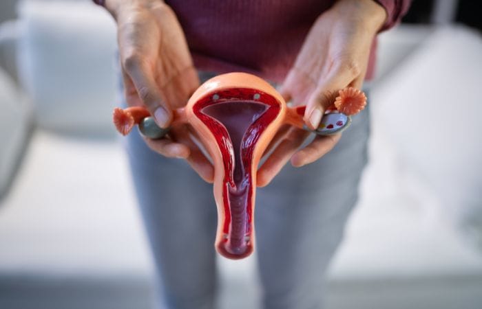 Painful Intercourse – Sexual And Pelvic Health Painful Intercourse - Sexual And Pelvic Health