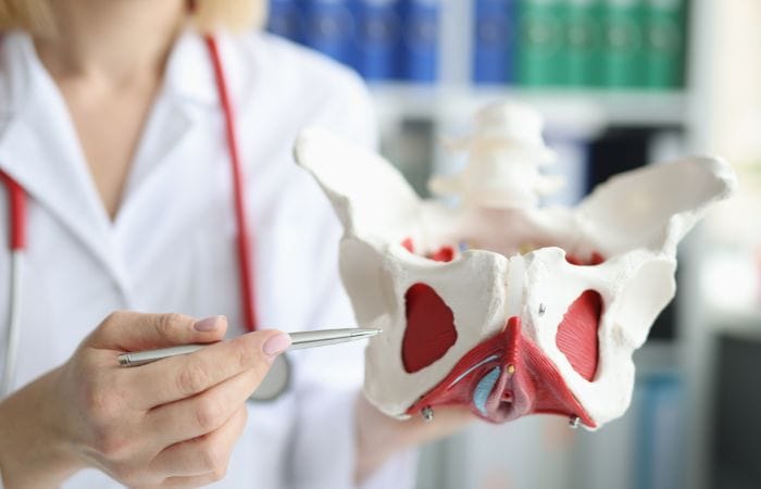 Pelvic Floor Dysfunction – Sexual And Pelvic Health Pelvic Floor Dysfunction - Sexual And Pelvic Health