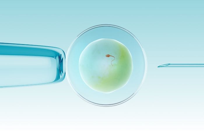 Website – Common Conditions Gynaecology Website - Common Conditions Gynaecology